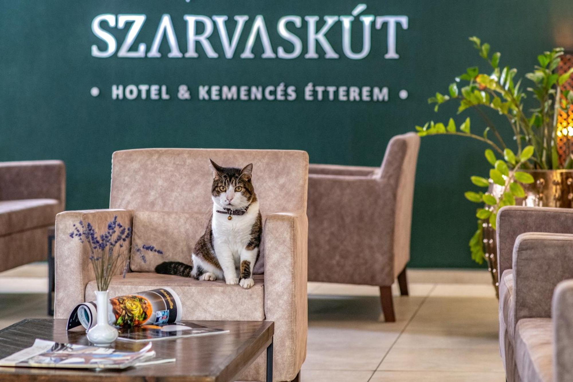 Szarvaskut Hotel Zirc Bagian luar foto